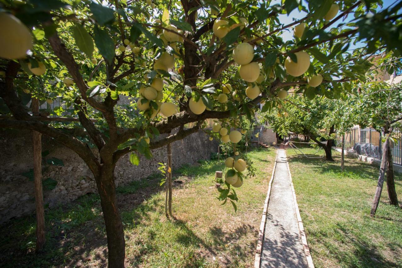 Villa Anna Vietri Dış mekan fotoğraf